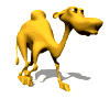 Camel